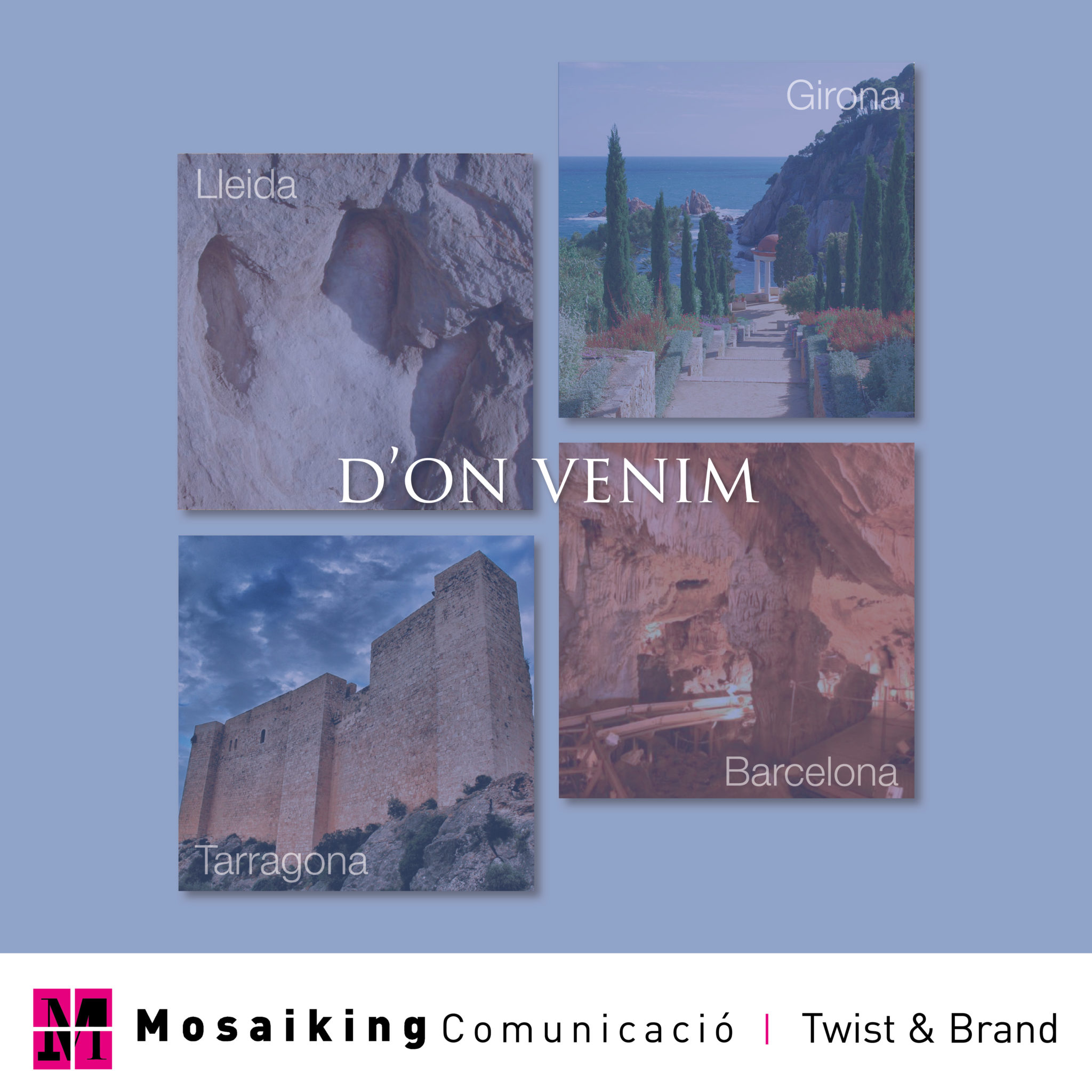 Read more about the article Mosaiking d’estiu – D’on venim