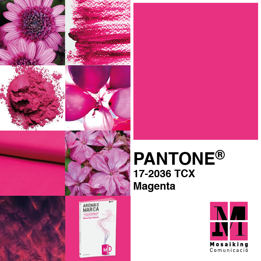 Read more about the article Aroma de magenta